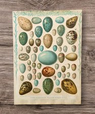 Original Antique Victorian