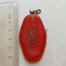 Real scorpion fossil keychain - real,