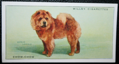 Chow vintage - chow,