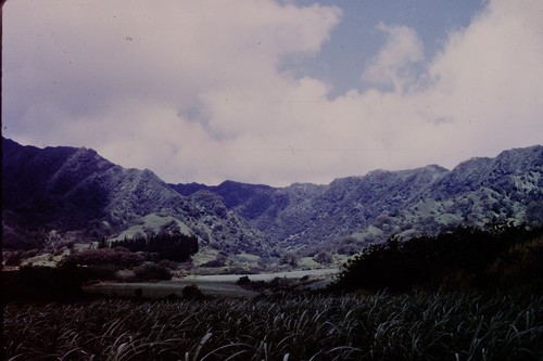 June 1972 beautiful - june, ranch