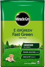 Miracle Gro Evergreen Fast