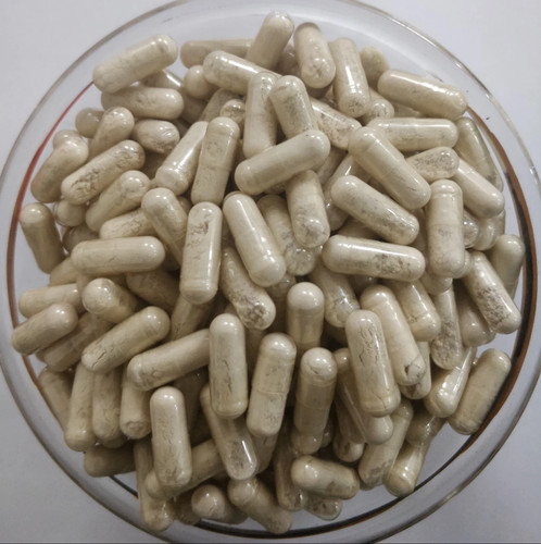 Horse chestnut extract - horse,