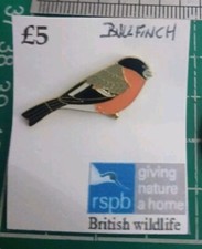 Bullfinch Pin. RSPB Bird Enamel Pins 