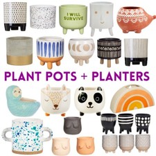 Plant Pots and Plants for