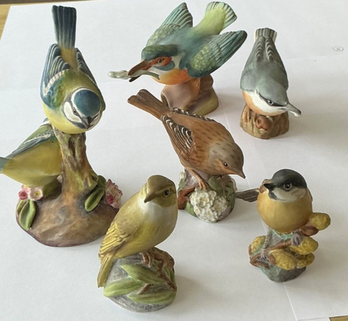Royal worcester bird figurines - worcester,
