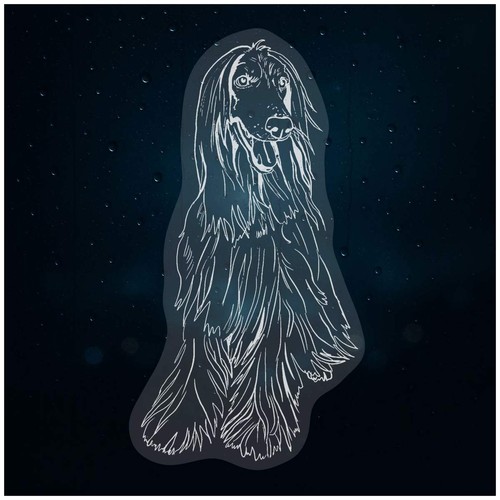 Afghan hound static window - hound',