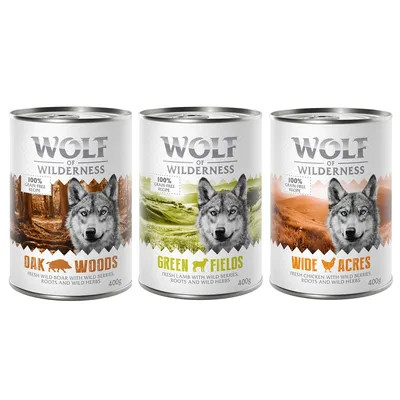 Wolf wilderness adult - wolf,