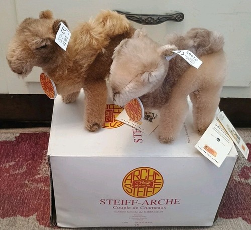 Vtg lot noah - vtg, arche
