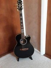 Lindo Electro Acoustic Guitar