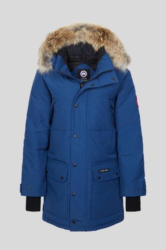 Canada goose emory northern - goose, 'emory'