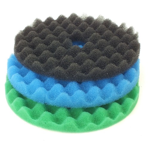 Cloverleaf cl3 fish - cloverleaf,