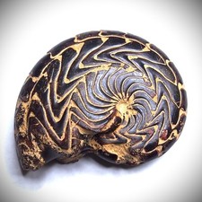 46mm Goniatite Hematite Discoclymenia Devonian Fossil Ammonite 009