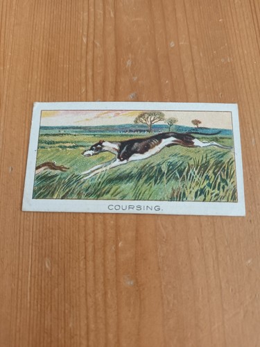 Cigarette card boguslavsky - card,
