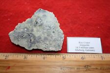 Ries Meteorite impact crater impactite glass rich breccia suevite large slice #6