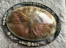 Victorian English “Thomas Mott” style butterfly wing jewellery Piece