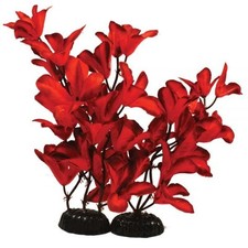 Red Glandulosa Silk Aquarium