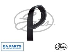 V-Ribbed Belt for DACIA DUSTER