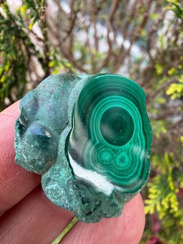 Malachite rough crystal - ,