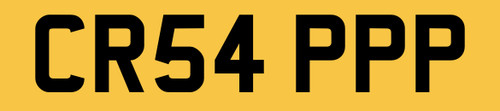 Dirty sewer van number plate - sewer,