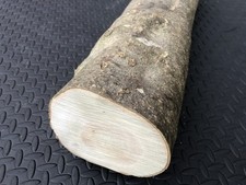 Holly Tree Wood Working