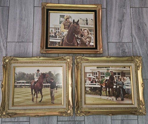 Original rare horse - original,