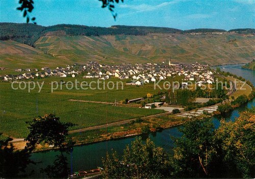 Kroev mosel panorama weinstadt - mosel,