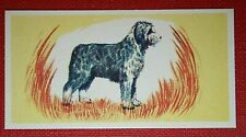 Old English Sheepdog    Bobtail   Vintage 1950's Mini Card  EE17
