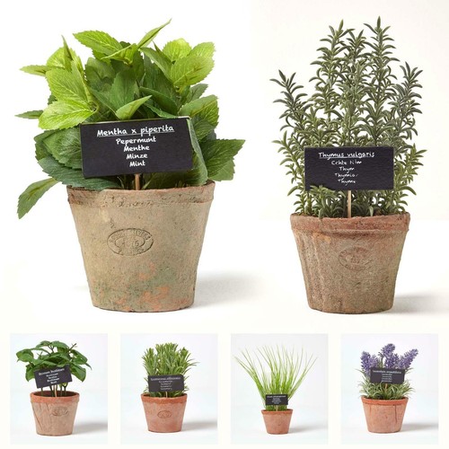 Artificial plants - artificial,