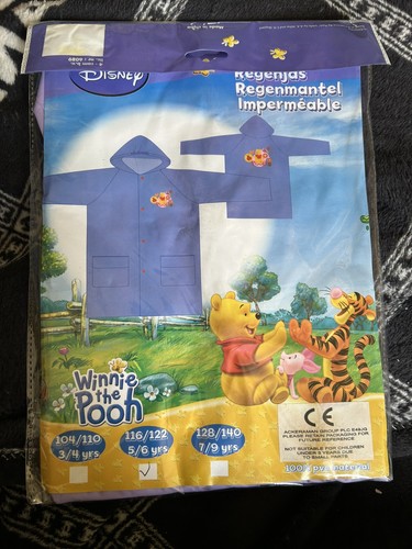 Winnie the pooh - winnie, rain
