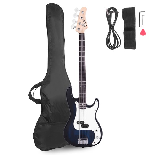 Electric bass guitar - electric,