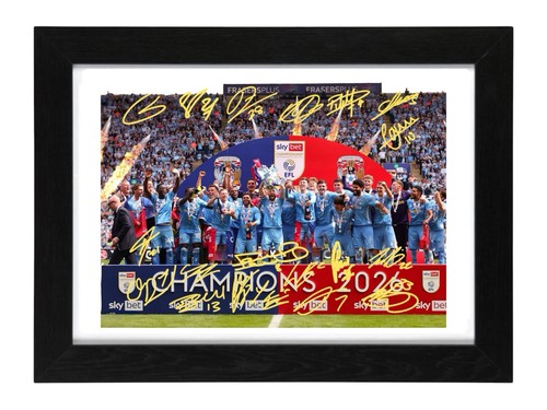 Coventry city promoted - coventry,