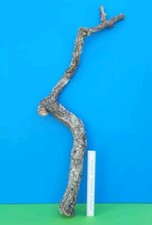 CORK BARK BRANCH 96CM LEOPARD