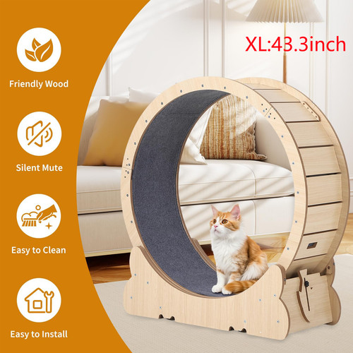Cat exercise wheel - cat,