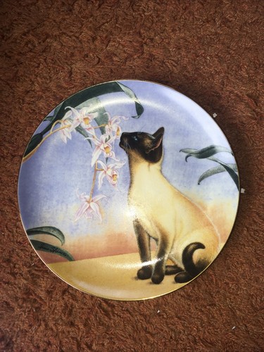 Siamese cat plate