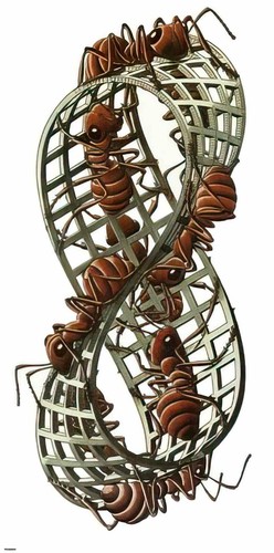 Escher photo moebius - c,