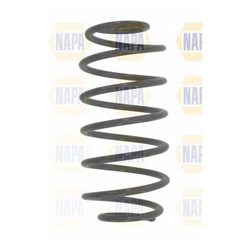 Rear coil spring - coil, (single)