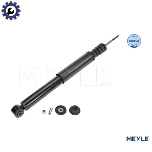 Shock absorber 725 - 725, 0009