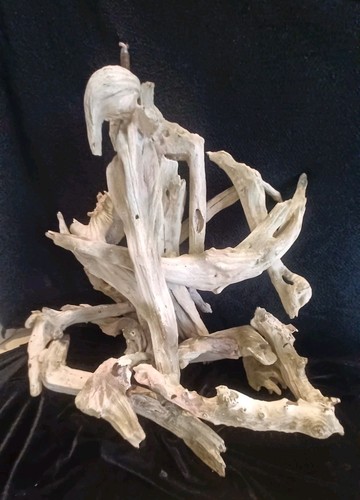 Large x17 x12 driftwood - x-large, 21"x17"x12"