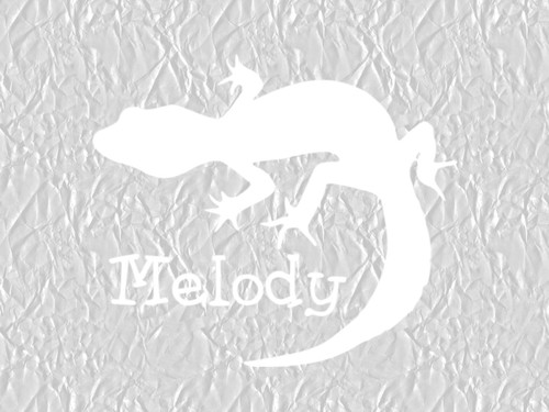 Personalized leopard gecko - personalized,