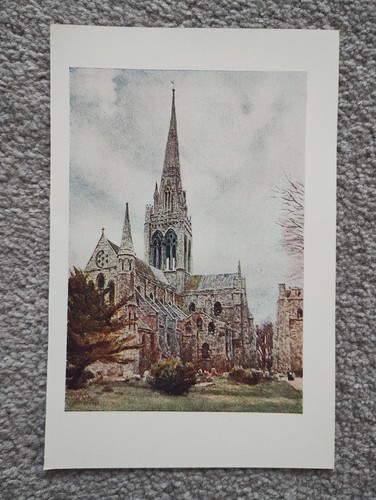 Chichester cathedral antique - chichester,