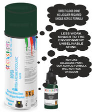 Aerosol Direct Gloss For Rover British Racing,Woodland Green Gn29 Paint Spray