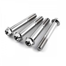 Aprillia RSVR Factory 04-10