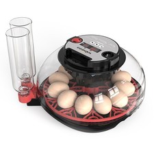 Digital 12-Egg Incubator