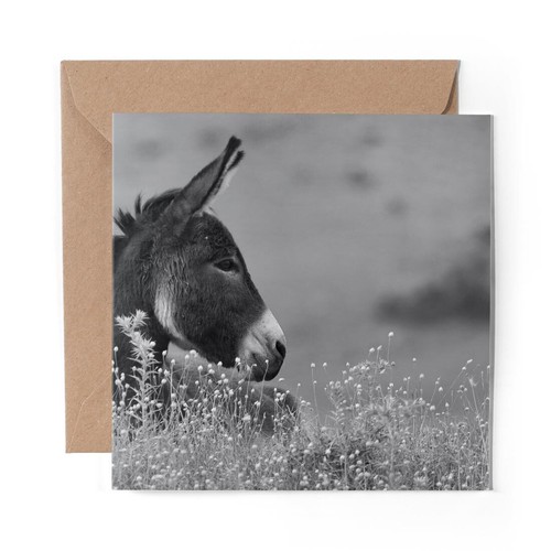 Blank greeting card - blank, bw
