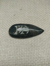 Orthoceras fossil 400 - fossil,