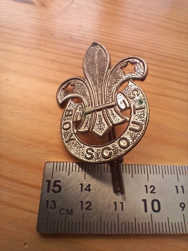 Large vintage boy scouts - large,