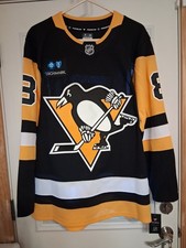 Pittsburgh Penguins Hockey