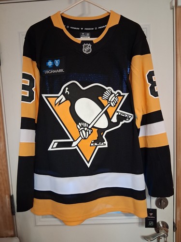 Pittsburgh penguins hockey - pittsburgh,
