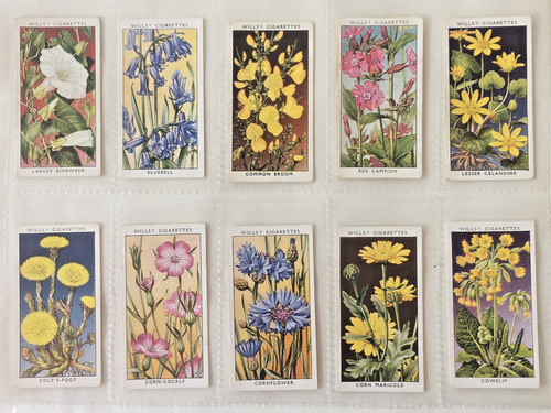 Wills cigarette cards wild - wills's, 'wild