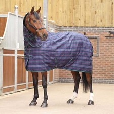 Shires Tempest Plus 100 Stable